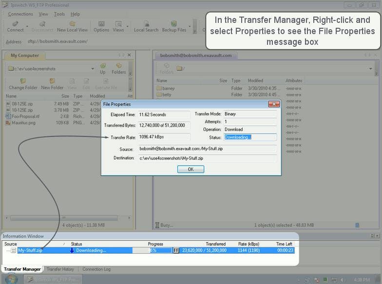 The WS_FTP Transfer Manager and Properties windows.